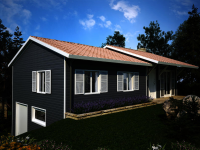 Blau ca.RAL 7046 T-REX Holzmaserung